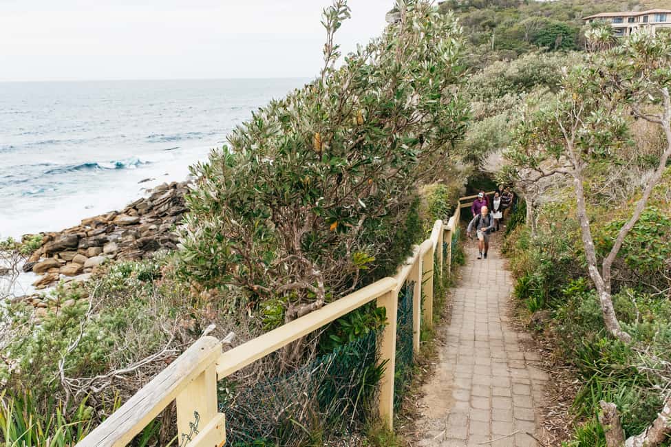 image n.7 of Sydney: Manly and Shelly Beach Snorkeling Tour activity in Sydney, uploaded by supplier