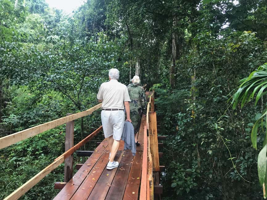 imagen n.º 8 de Amazonas: Paseo en barco con un amazónico local actividad en Manaos, subida por el proveedor