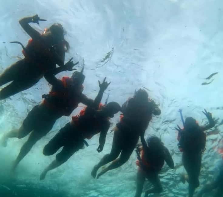 image n.6 of Puerto Vallarta: Los Arcos Islands Boat Tour and Snorkeling activity in Puerto Vallarta, uploaded by supplier