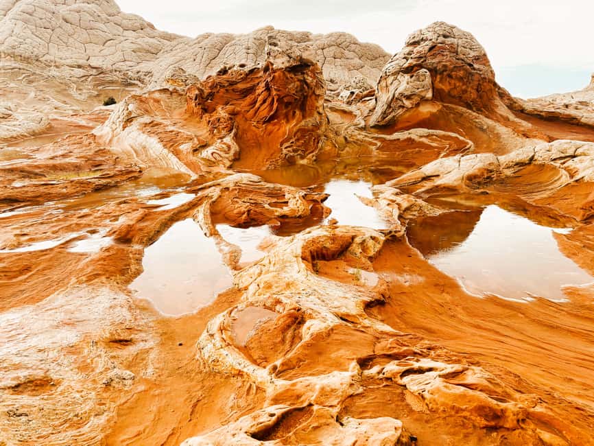 image n.2 of Kanab: White Pocket Rock Formation Tour (Small Group) activity in Arizona, uploaded by supplier
