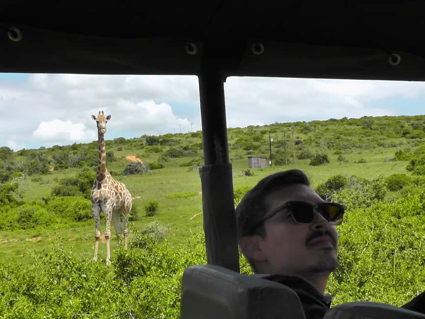 image n.1 of Port Elizabeth:2-Day Schotia Safaris & Addo Wildlife Reserve activity in Eastern Cape, uploaded by supplier