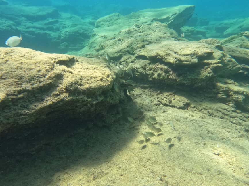 image n.23 of Heraklion: Scuba Diving Experience for Beginners activity in Agia Pelagia, uploaded by supplier