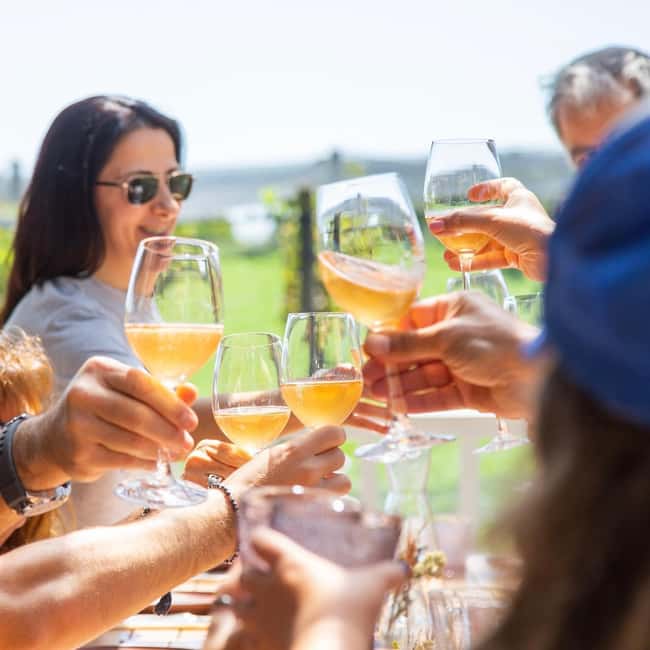 image n.1 of Buenos Aires: Wine Pairing and Lunch at Gamboa Vineyard activity in Campana, uploaded by supplier