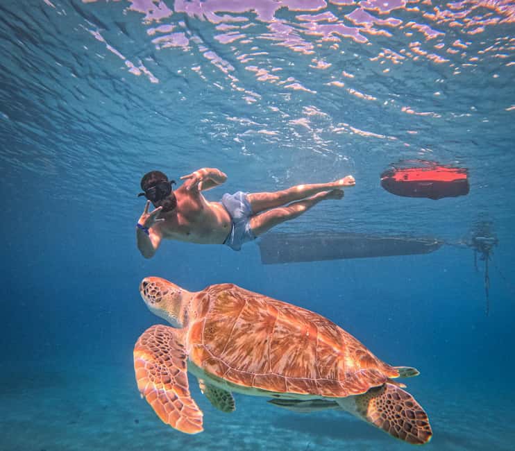 afbeelding n.1 van Curaçao: Playa Piskado Seabob Avontuur (Zeeschildpadden) activiteit in Curaçao, geüpload door aanbieder
