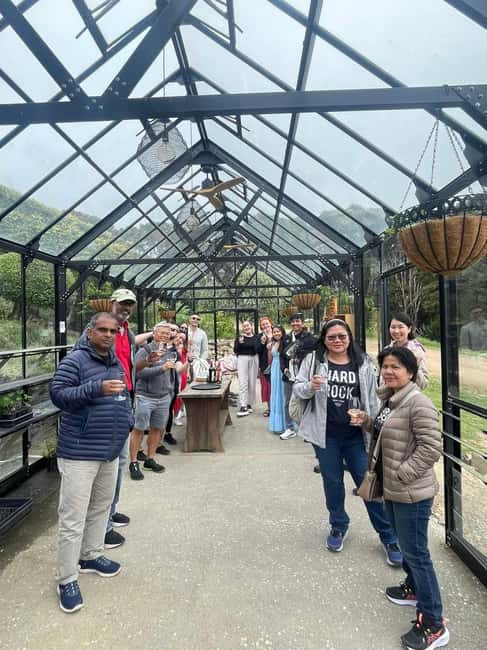 image n.9 of Waiheke Island: Wine Tour + Lunch at Award Winning Venue activity in North Island, uploaded by supplier