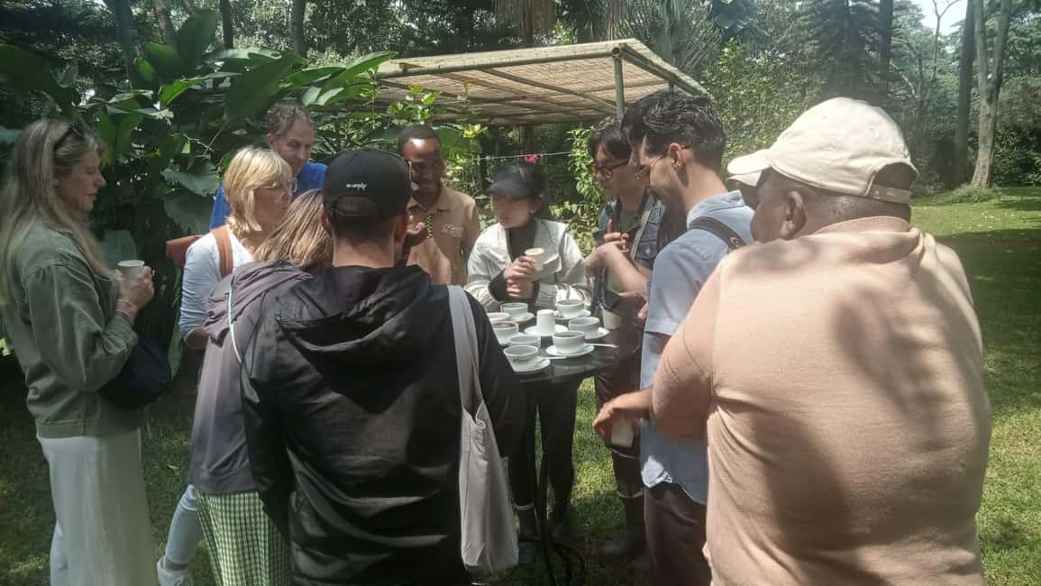 image n.71 of Coffee Farm Tour (Fairview) activity in Kiambu, uploaded by supplier
