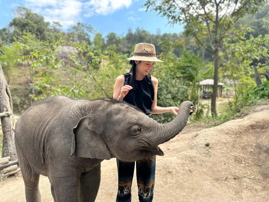 image n.5 of Chiang Mai: Elephant Sanctuary & Waterfall Group Tour activity in Chiang Mai, uploaded by supplier