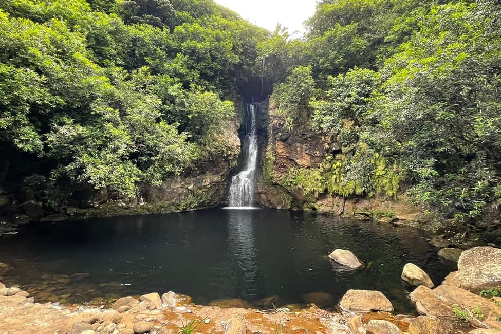 Immagine nº 8 di Mauritius: Tour privato del sud-ovest con pranzo attività a Chamarel, caricata dal fornitore