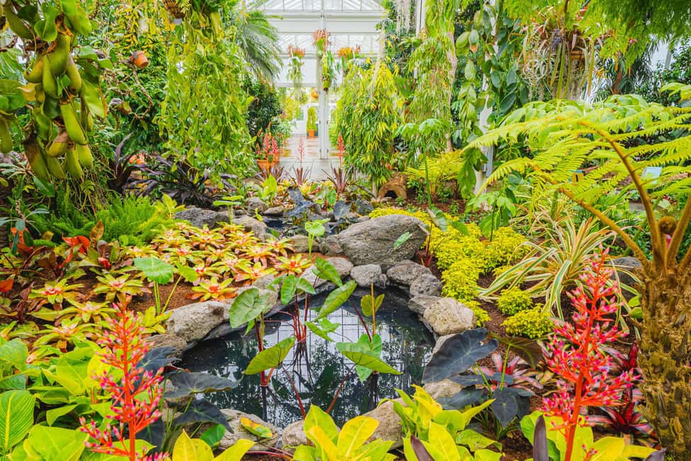 image n.12 of NYC: New York Botanical Garden Pass activity in New York City, uploaded by supplier