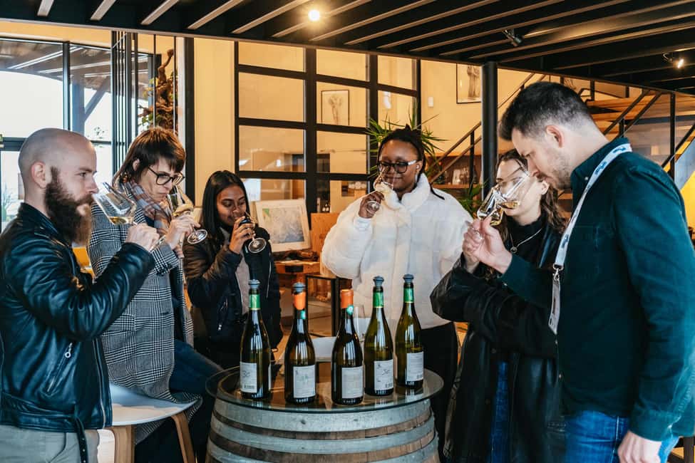 image n.15 of From Paris: Burgundy Region Winery Tour with Tastings activity in Auxerre, uploaded by supplier