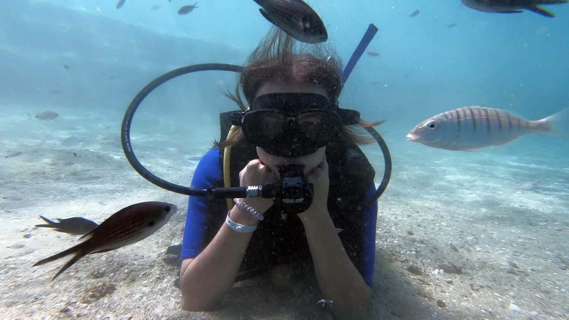 Immagine nº 13 di Heraklion: Lezione di immersione subacquea per principianti con istruttore PADI attività a Agia Pelagia, caricata dal fornitore