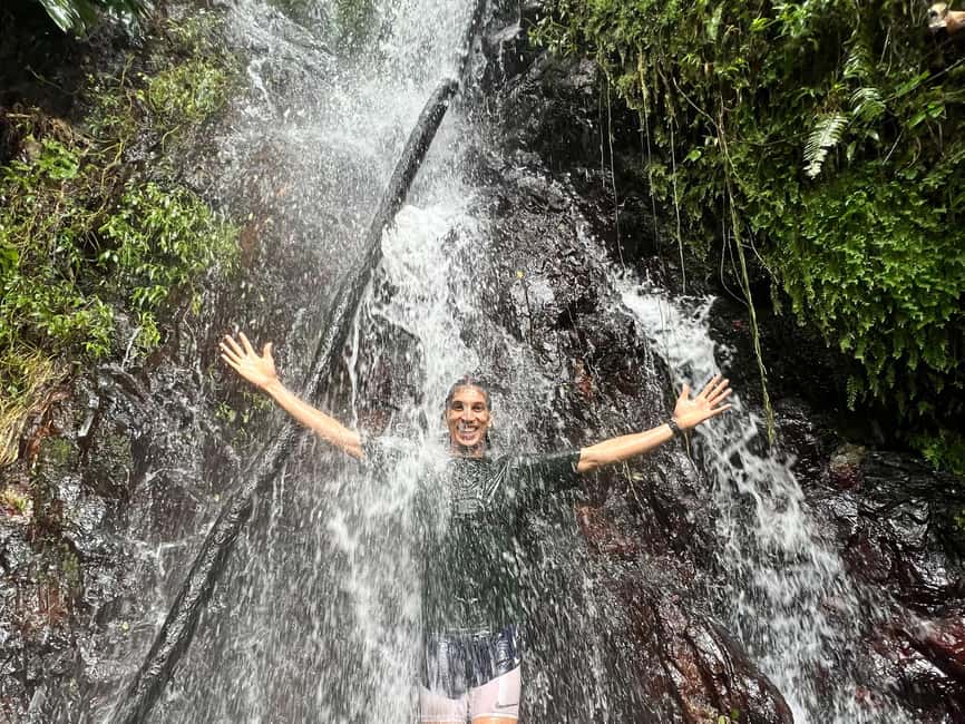 billede nr.8 af aktiviteten Fajardo: El Yunque-vandrutschebane, vandfald og rebgyngetur i Río Grande, Puerto Rico, uploadet af udbyder