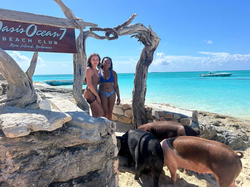 Image N°41 de Nassau : Cochons, plongée en apnée, tortues, déjeuner, club de plage privé activité à New Providence, publiée par le prestataire