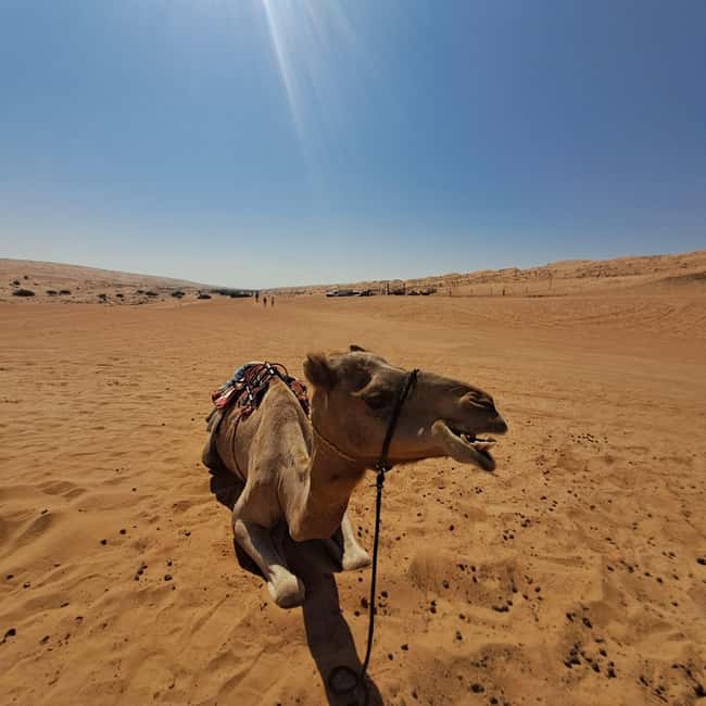 Immagine nº 13 di Da Muscat: Tour guidato di una notte nel campo del deserto attività a Regione al-Sharqiyya, caricata dal fornitore