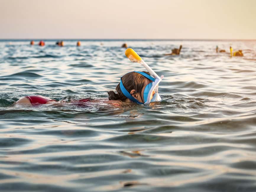 Immagine nº 14 di Muscat: Tour di snorkeling delle isole Daymaniat con rinfresco attività a Oman, caricata dal fornitore