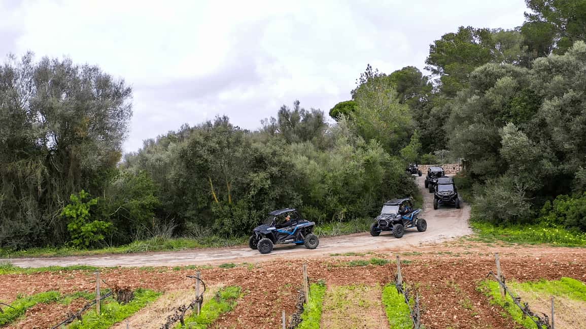 Immagine nº 14 di Palma di Maiorca: Tour in buggy fuori strada o su strada con 2 o 4 posti a sedere attività a Palma di Maiorca, caricata dal fornitore