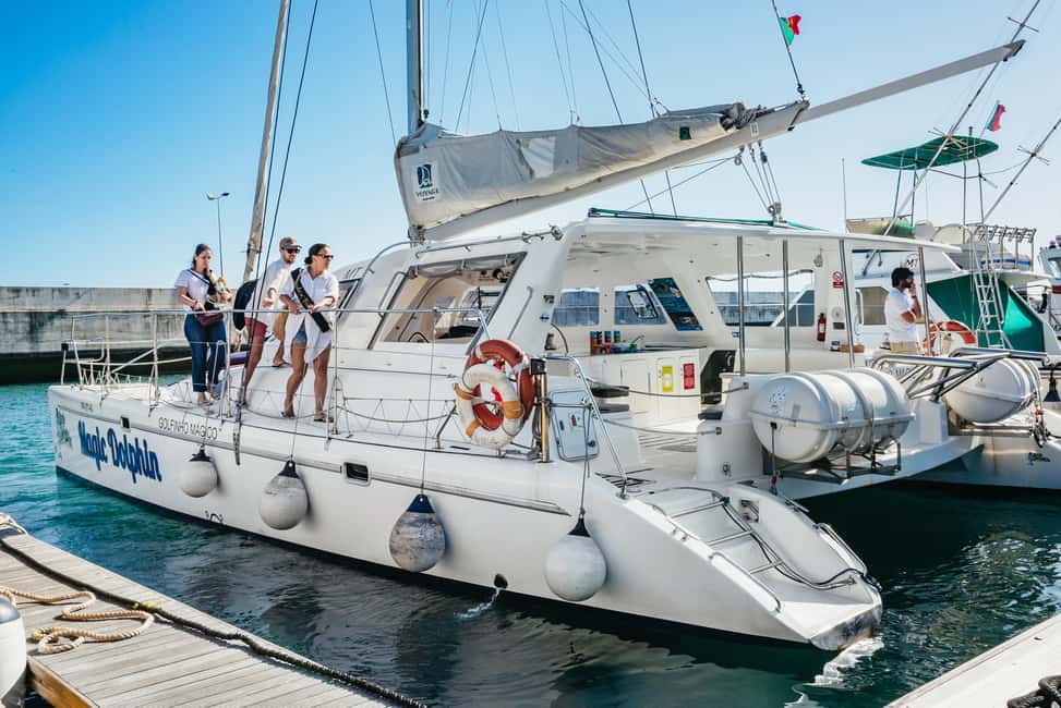 Bild Nr. 15 von Funchal: Delfin- und Walbeobachtung mit dem Luxuskatamaran Aktivität in Câmara de Lobos, hochgeladen vom Anbieter