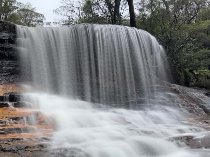 bild nr.4 av Sydney - Nationalparken Blue Mountains National Park Tour med guidad kryssning aktivitet i New South Wales, uppladdad av arrangören