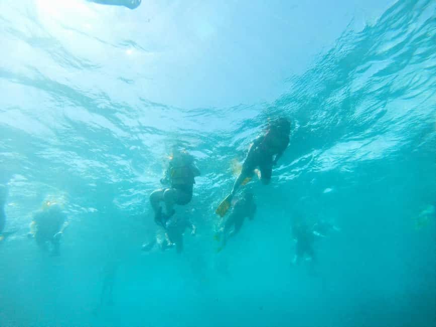 imagem n.13 de Passeio de snorkeling com guia local certificado atividade em Pedra de Lume, carregada pelo fornecedor