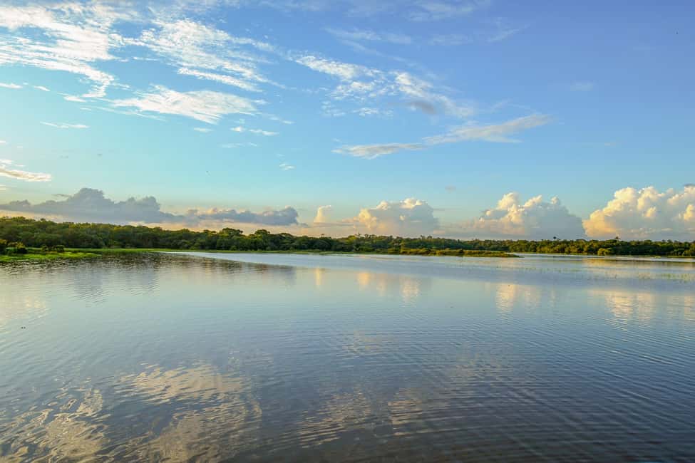 imagen n.º 8 de Manaos: Tour de 2, 3 o 4 días por la selva amazónica en el Anaconda Lodge actividad en Manaos, subida por el proveedor