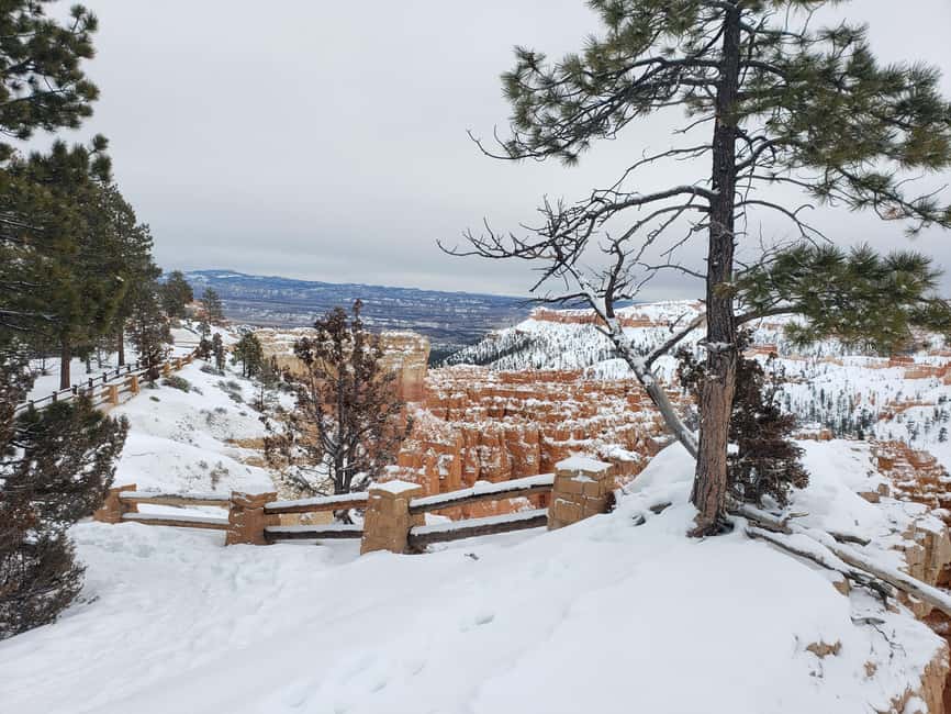 image n.47 of Small Group Tour Zion & Bryce Canyon National from Las Vegas activity in Utah, uploaded by supplier
