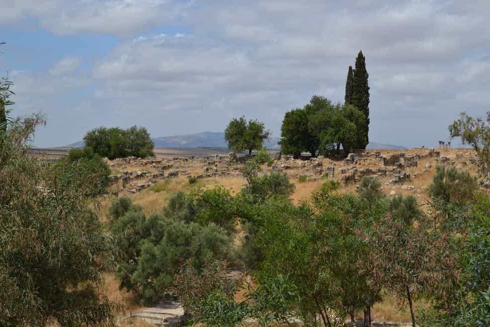 billede nr.22 af aktiviteten Dagstur fra Fes til Volubilis via Meknes og Moulay Idriss i Meknès, uploadet af udbyder