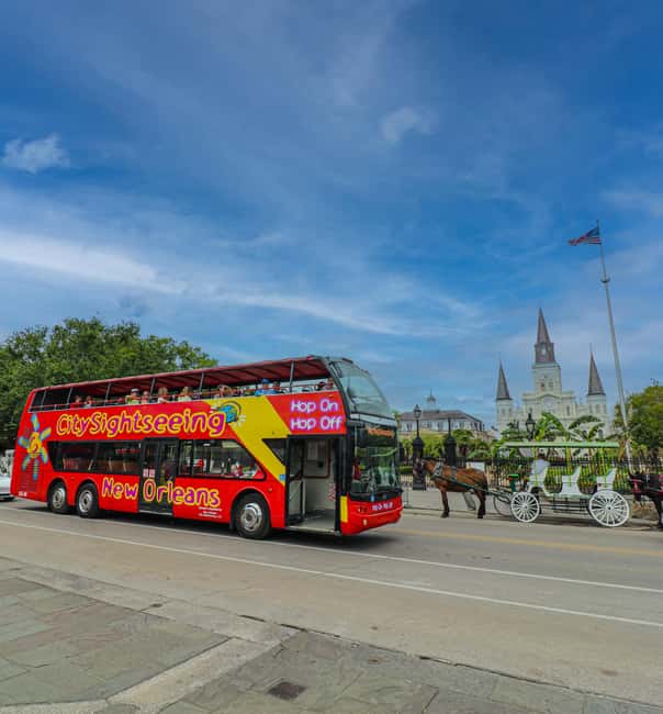 Immagine nº 4 di New Orleans: tour di 2 o 3 giorni in autobus Hop-on Hop-off con tour a piedi attività a New Orleans, caricata dal fornitore