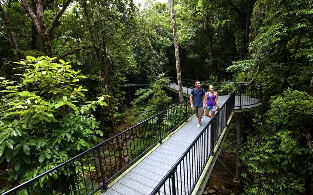 image n.1 of Cairns: Daintree, Mossman Gorge, & Cape Tribulation Day Trip activity in Queensland, uploaded by supplier