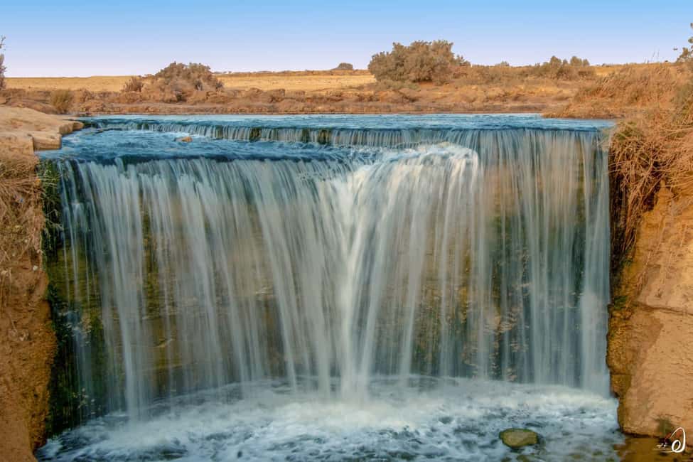 image n.9 of 6 Days to El Fayoum Oasis, White Desert and Bahariya Oasis activity in Fayoum, uploaded by supplier