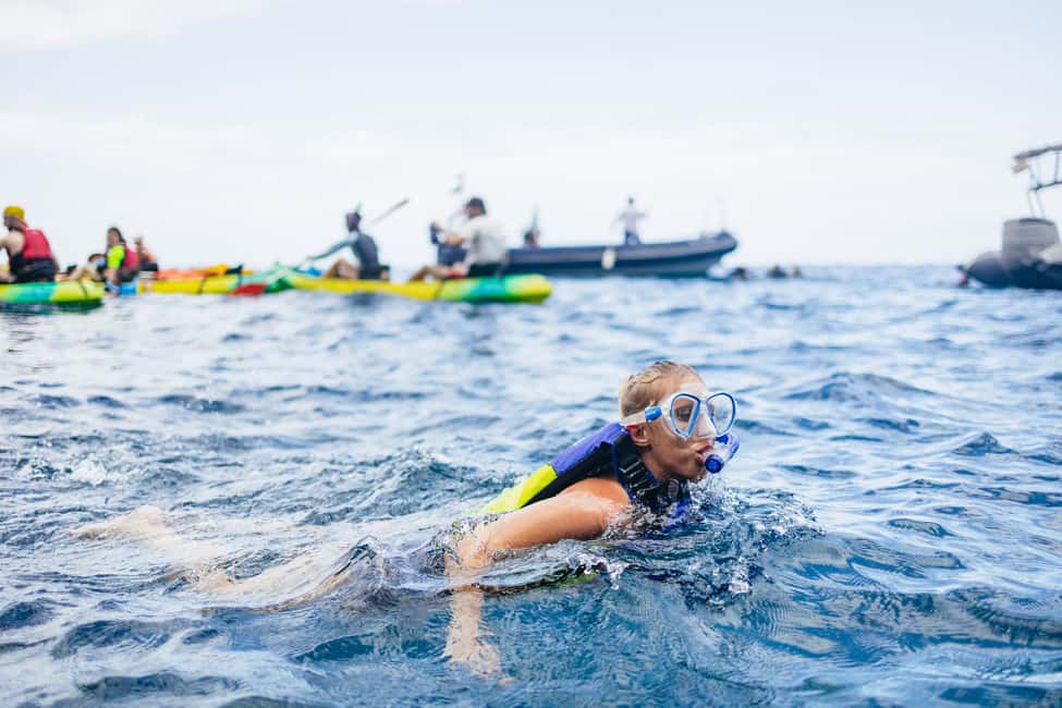 image n.13 of Tenerife: Kayak Safari and Sea Turtle Snorkeling with Photos activity in Arona, Tenerife, uploaded by supplier