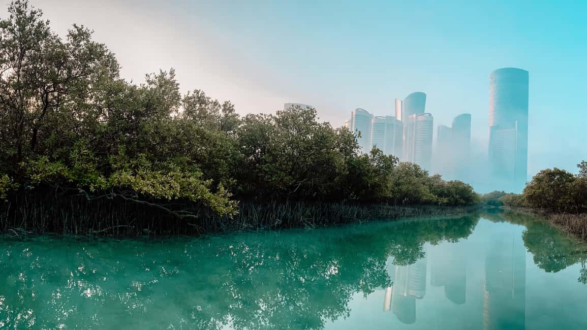 image n.1 of Abu Dhabi: Reem Central Park 2-hour Guided Kayak Tour activity in Abu Dhabi, uploaded by supplier