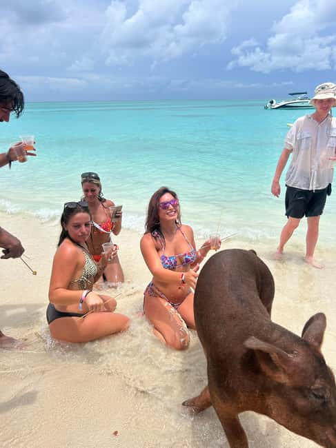 Image N°39 de Nassau : Cochons, plongée en apnée, tortues, déjeuner, club de plage privé activité à New Providence, publiée par le prestataire