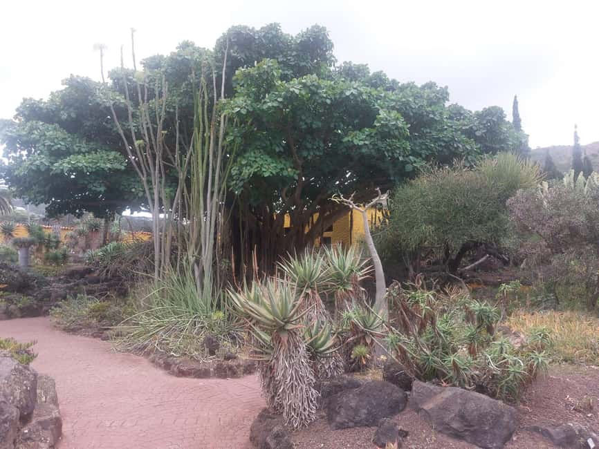 image n.67 of Private Bandama Caldera, Botanic Garden(/Wine*), Old Town activity in Las Palmas, uploaded by supplier