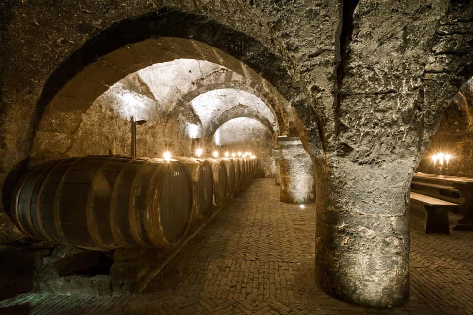 image n.2 of Trier: Discovery tour - Germany's oldest wine cellar activity in Trier, uploaded by supplier