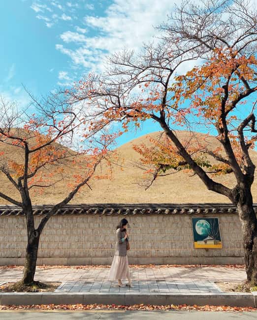 image n.29 of Busan: Gyeongju Guided Day Trip to Three Kingdoms Capital activity in Gyeongju, uploaded by supplier