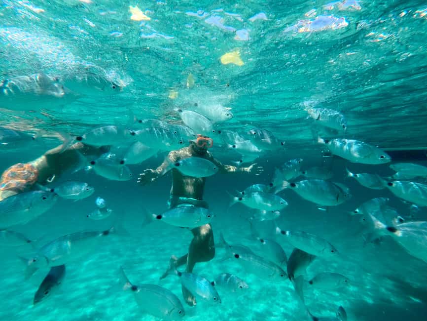 Immagine nº 8 di Da Palau: Tour in catamarano dell'Arcipelago della Maddalena con pranzo attività a Sardegna, caricata dal fornitore
