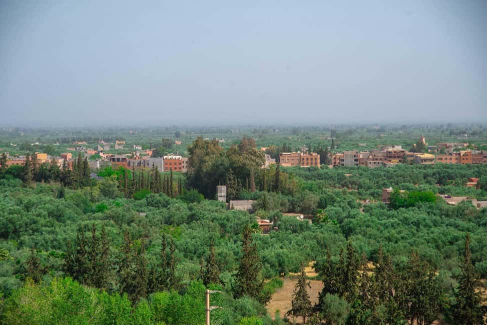 imagen n.º 10 de Marrakech: cascadas de Ourika, montañas del Atlas, guía + almuerzo actividad en Marrakech-Safí, subida por el proveedor
