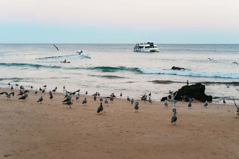 afbeelding n.20 van Vanuit Albufeira: Sunset Cruise en Strand BBQ met Open Bar activiteit in Olhos de Água, geüpload door aanbieder