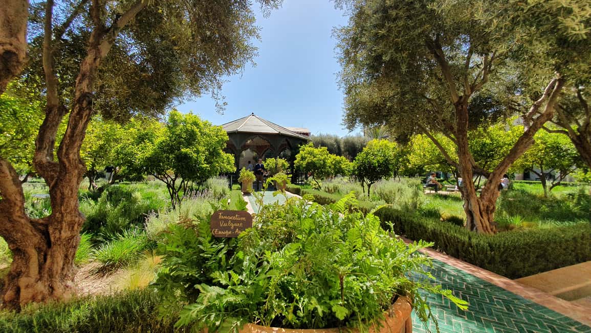 imaginea n.52 a activității Turul Marrakech Tuk-Tuk cu Muzeul Fotografiei+Grădina Secretă în Marrakesh, încărcată de organizator