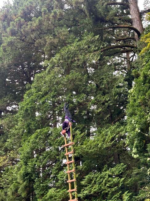 Immagine nº 15 di Da Tokyo: tour privato personalizzato a Nikko con autista inglese attività a Nikkō, caricata dal fornitore