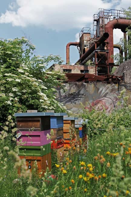image n.6 of Völklingen: Völklingen Ironworks World Heritage Site Ticket activity in Völklingen, uploaded by supplier