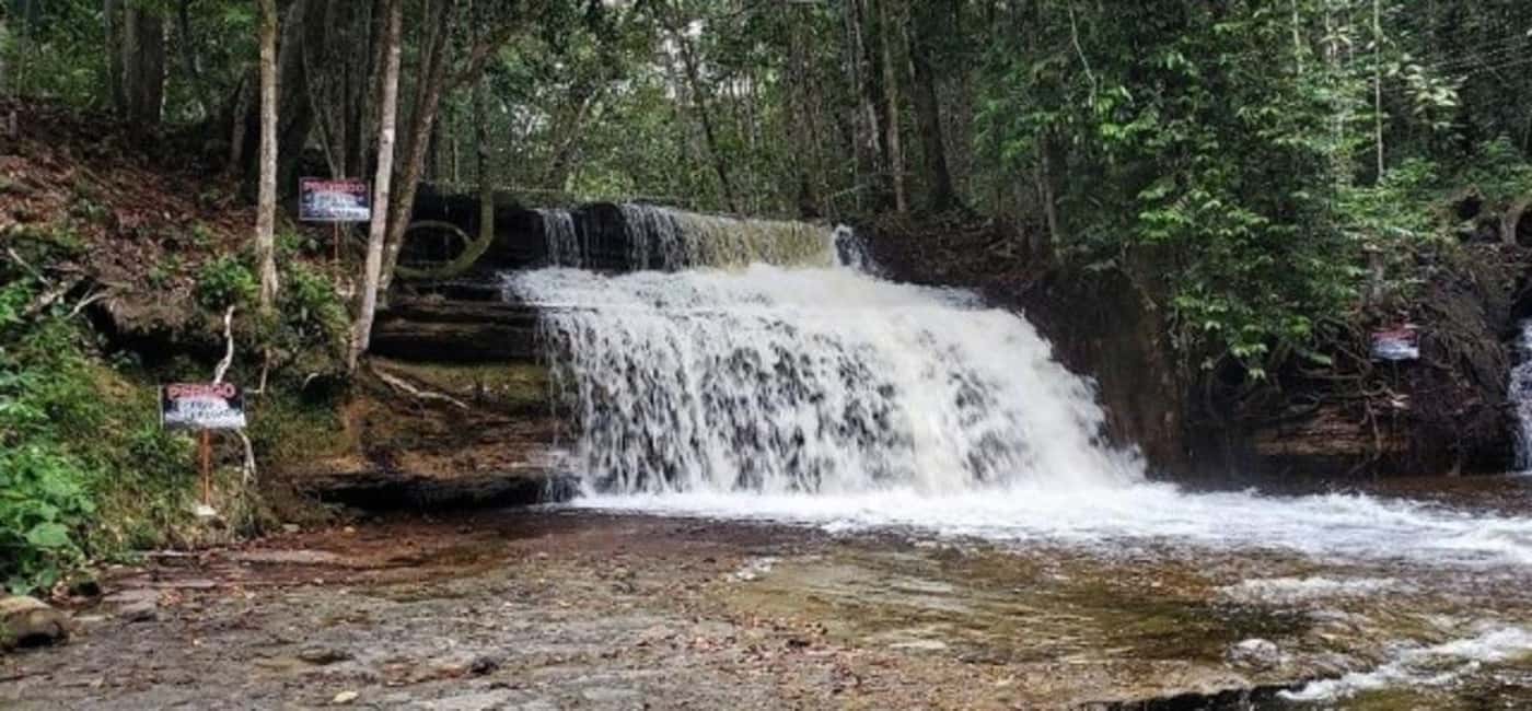 imagen n.º 6 de Manaos: Excursión de un día a las Cataratas del Amazonas con almuerzo actividad en Presidente Figueiredo, subida por el proveedor