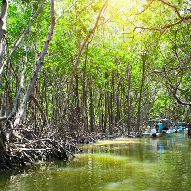 image n.14 of Merida: Celestun Boat Ride Mangrove Experience! Beach Time activity in Celestún, uploaded by supplier
