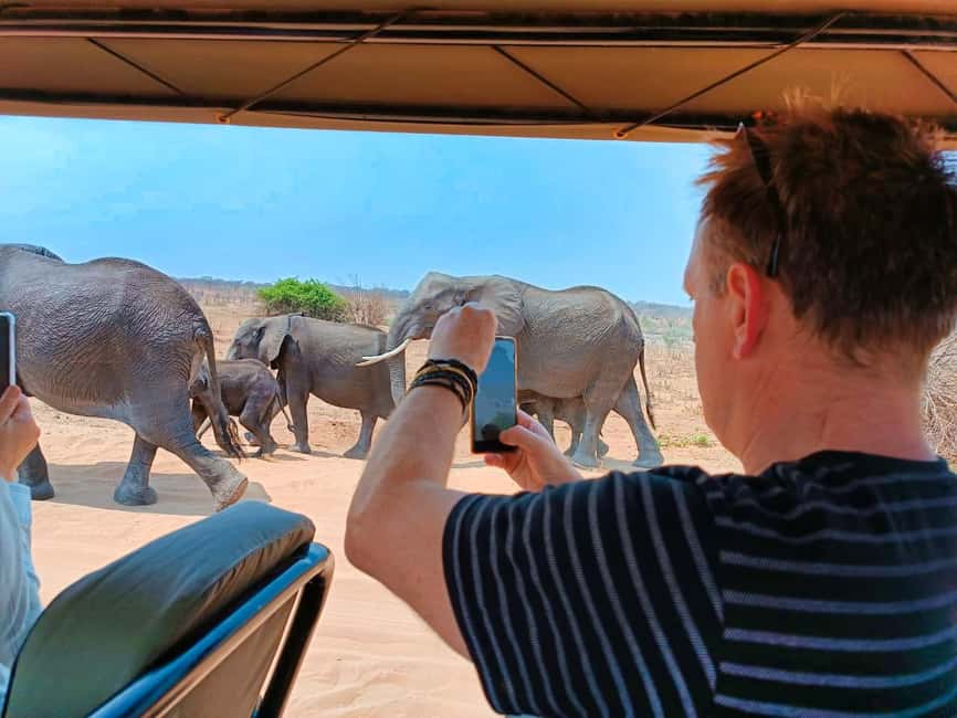 image n.10 of From Zimbabwe: Chobe Safari and Quadripoint Day trip activity in Victoria Falls Town, uploaded by supplier