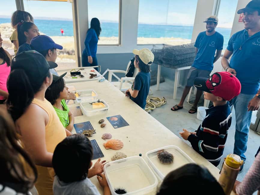image n.16 of La Paz: Pearl Farm Experience and shop activity in La Paz, Mexico, uploaded by supplier