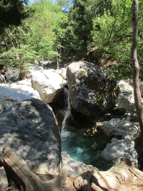 Immagine nº 48 di Da Rethymno: trekking di un giorno intero alle gole di Samaria, prelievo e guida attività a Rethymno, caricata dal fornitore