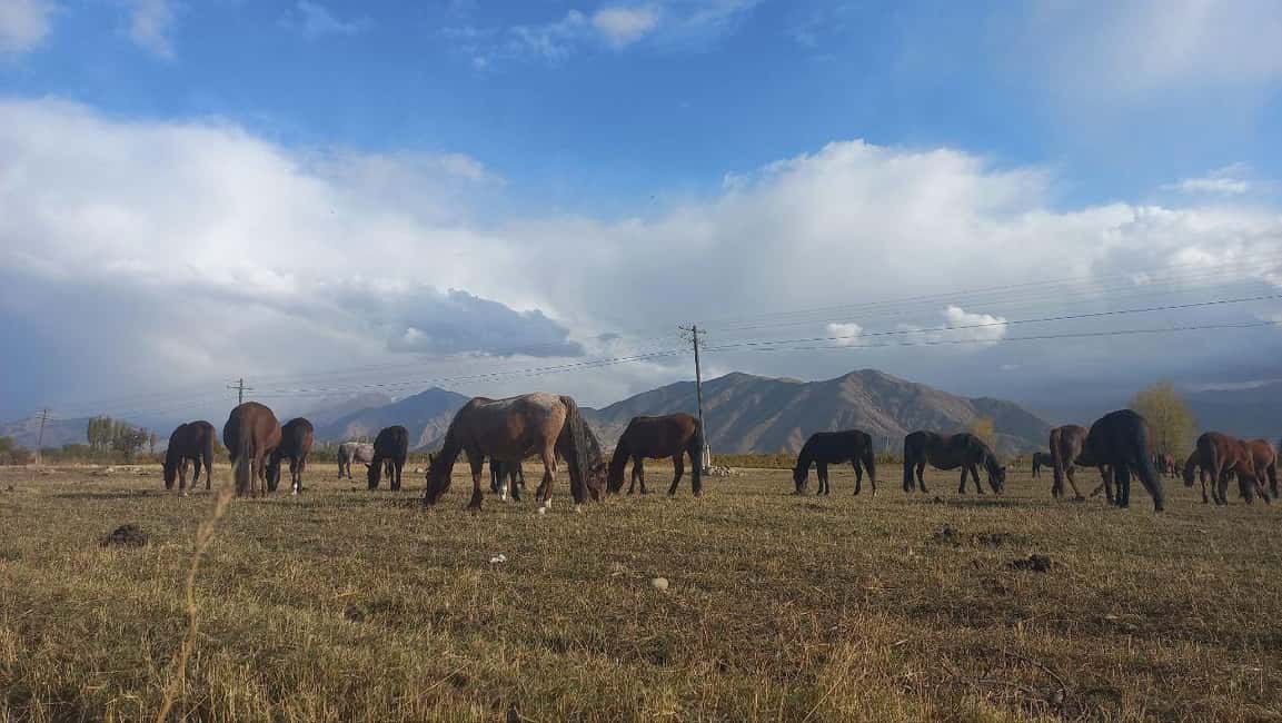 billede nr.10 af aktiviteten Issyk-Kul-søen, Barskoon-vandfald og kløfter (2 dage) i Issyk-Kul Region, uploadet af udbyder
