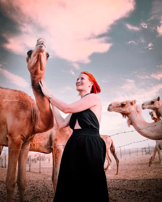 image n.4 of Abu Dhabi: Morning Dune Drive, Camel Ride & Sandboarding activity in Abu Dhabi, uploaded by supplier