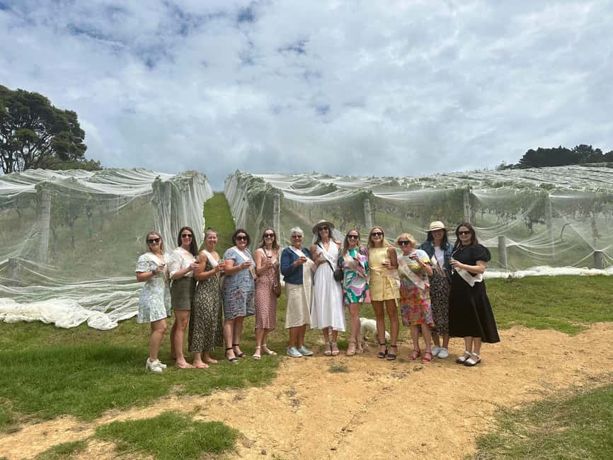 image n.11 of From Auckland: Waiheke Island Wineries' Tour activity in Auckland, uploaded by supplier