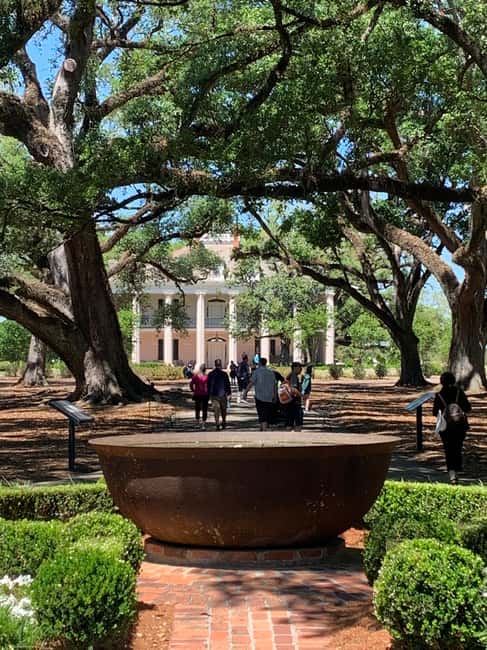 Immagine nº 3 di New Orleans: Tour della piantagione di Oak Alley e trasporto attività a Vacherie, Louisiana, caricata dal fornitore